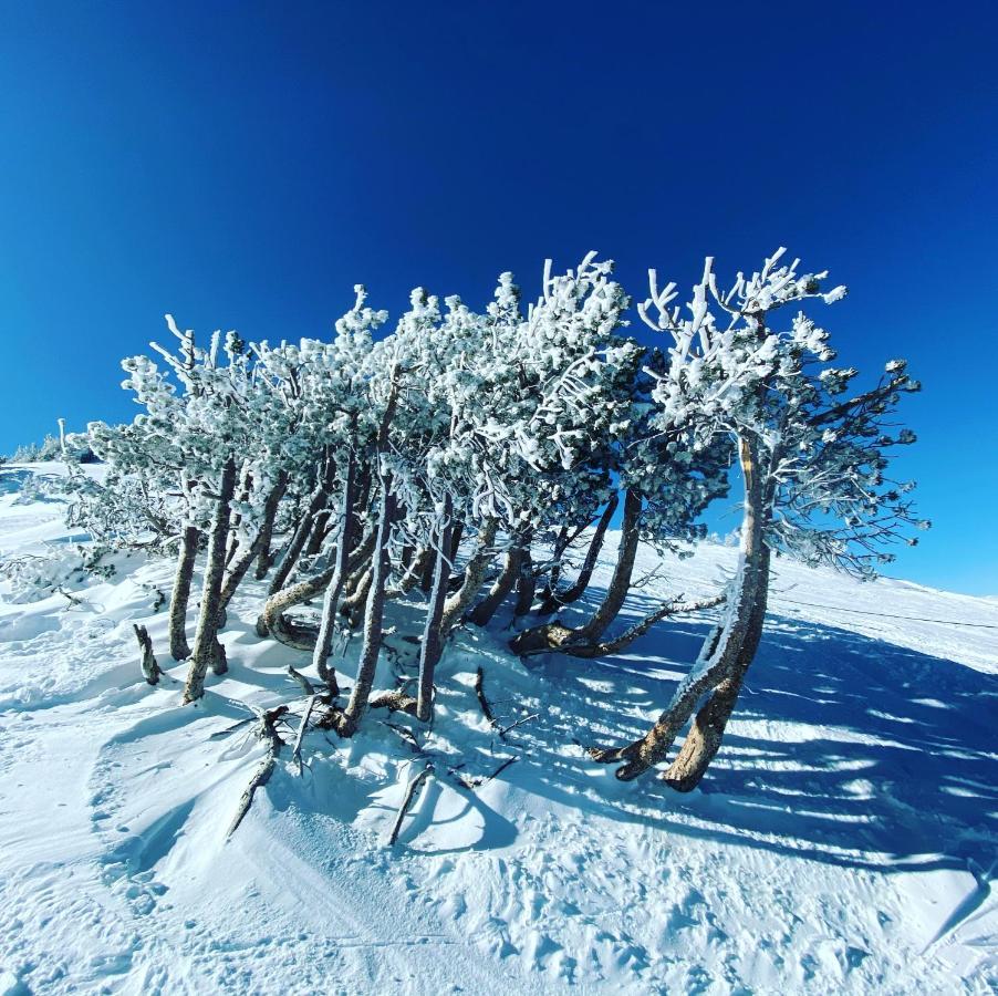马姆莫斯湖Mammoth Awesome Location-1 Min To Shuttles & Food! Toml-Cpan-11402公寓 外观 照片