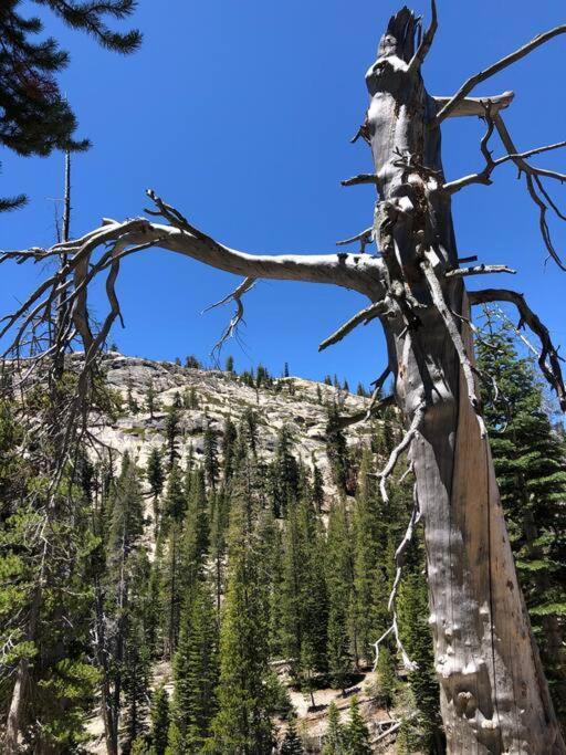 马姆莫斯湖Mammoth Awesome Location-1 Min To Shuttles & Food! Toml-Cpan-11402公寓 外观 照片